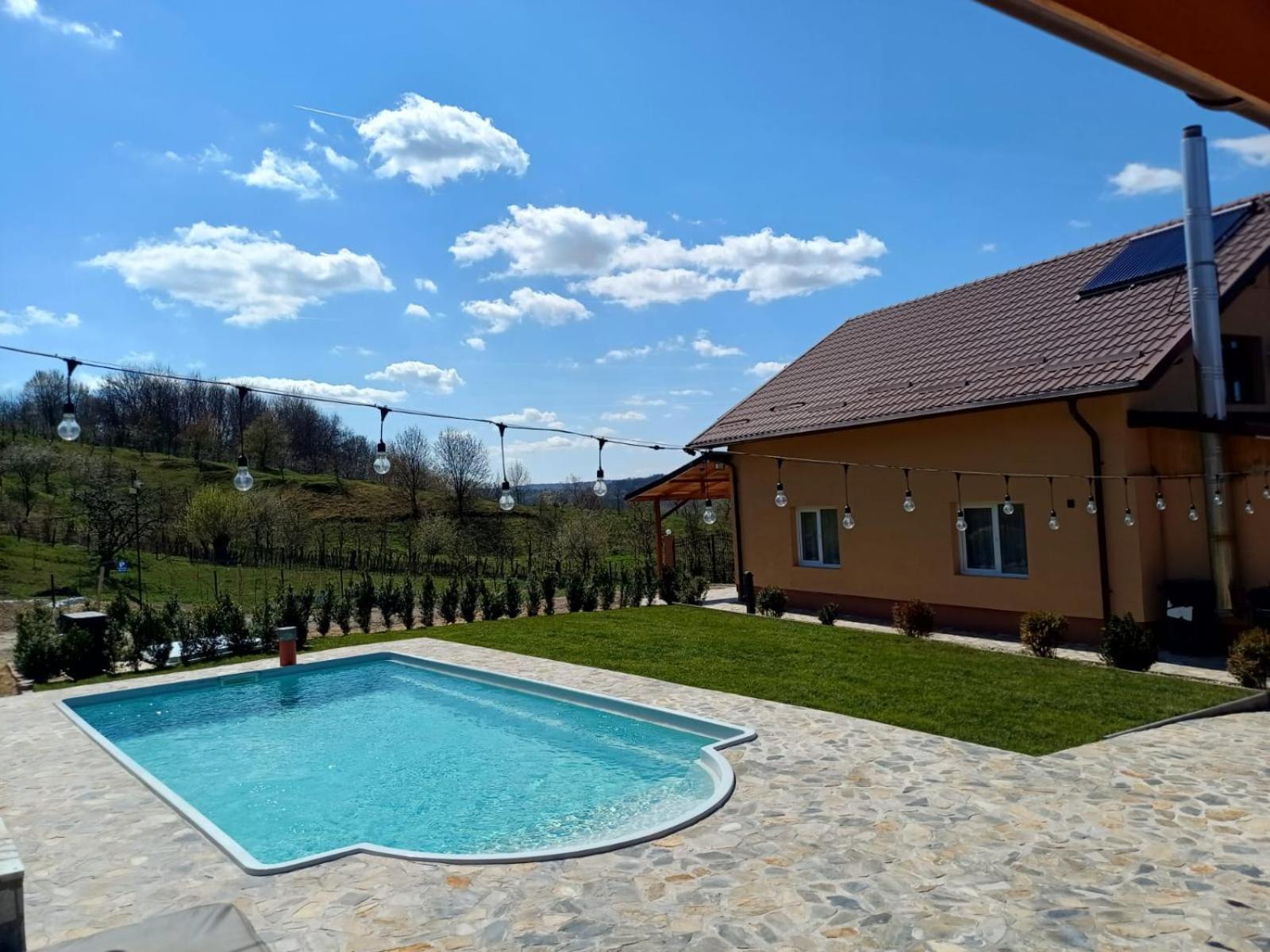 Casa De Vacanta Cu Piscina Incalzita&Jacuzzi Pietrari Exterior photo